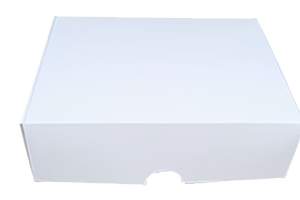 10 piezas cajas multipróposito 25x18x8cm