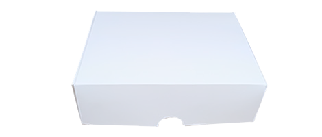 10 piezas cajas multipróposito 25x18x8cm